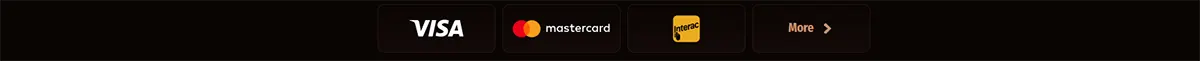 Payment methods row showing Visa, Mastercard, Interac, and a “More” button on a dark background.