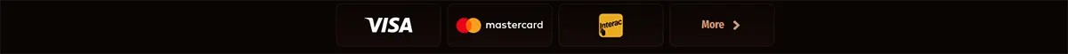 Payment methods row showing Visa, Mastercard, Interac, and a “More” button on a dark background.